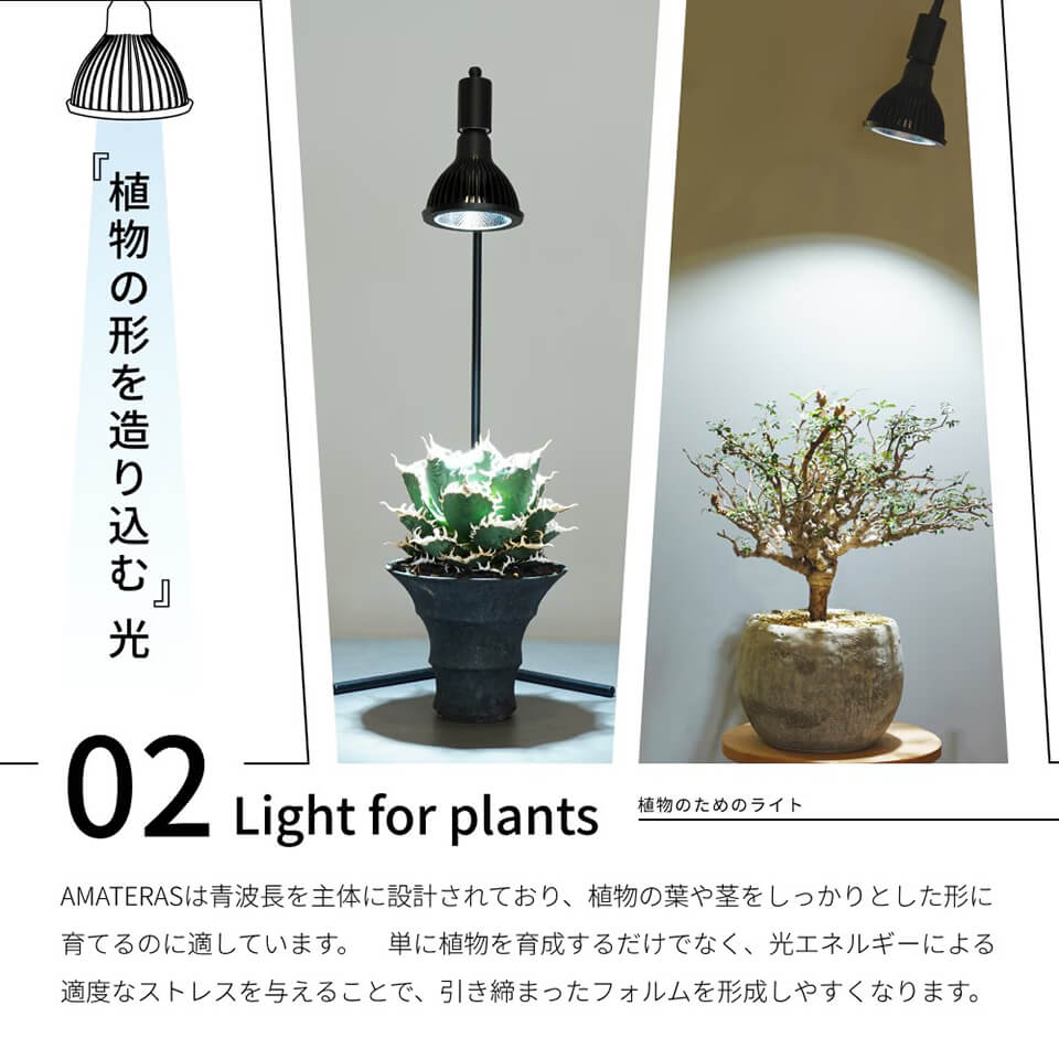 楽天市場】ネオ アマテラス【LED 20W】植物育成ライト BARREL 水槽用