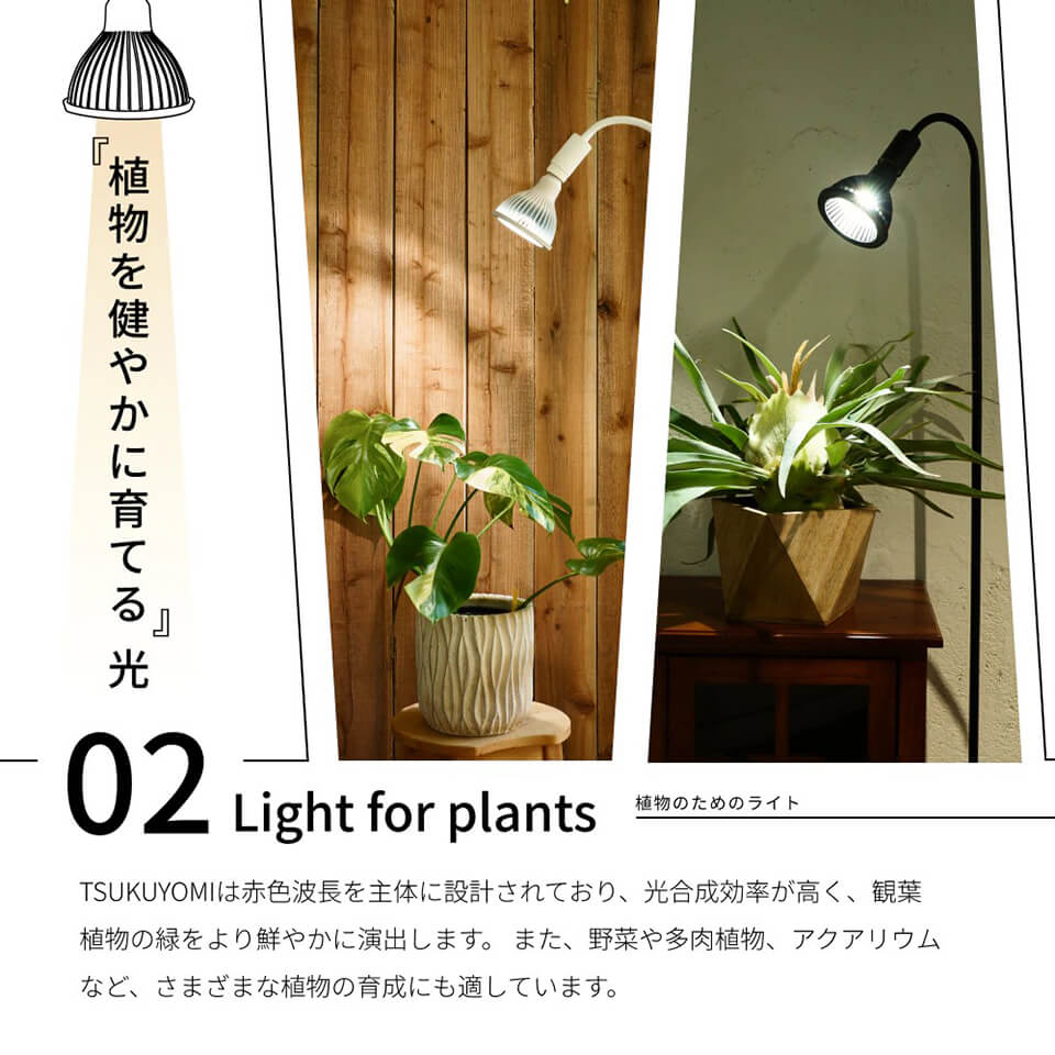楽天市場】ネオ ツクヨミ【LED 20W】植物育成ライト BARREL 水槽用照明