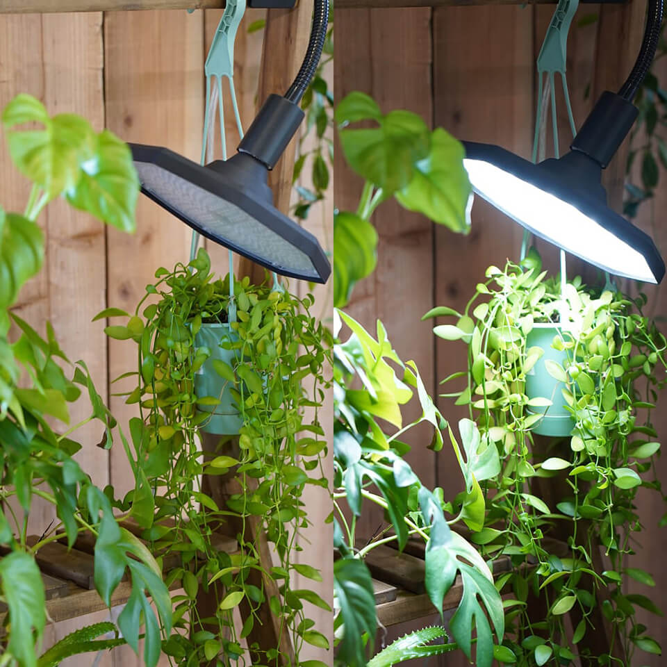 楽天市場】ROKI OCTAGON 50W【BARREL】八角形・面発光タイプの植物育成