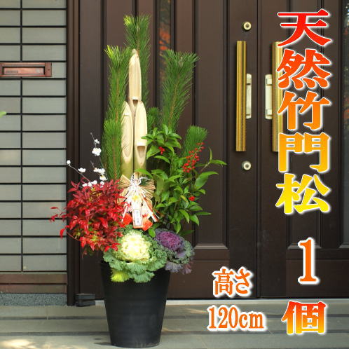 楽天市場】28.29日出荷OK！年内お届可能「楽天ショップ・オブ・ザ