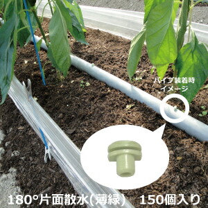 楽天市場】【袋売り】セキスイ 潅水ノズル 180°-(1) 片面散水 薄緑色