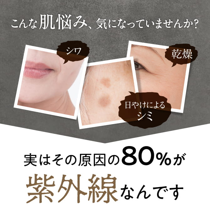 楽天市場】【最大P20倍!楽天SS開催中!】世田谷自然食品 SEAC (シーク