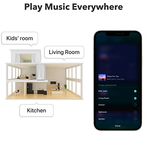 楽天市場】WiiM Pro AirPlay 2 レシーバー、Chromecast Audio、WiFi