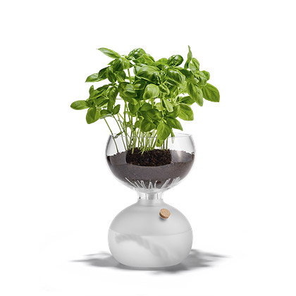 楽天市場】ホルムガード HOLMEGAARD ガイア プラントグラス 14cm