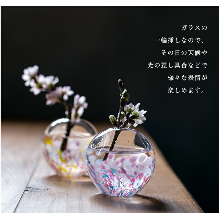楽天市場】ガラス 桜 サクラ さくら柄 【さくらさくら sakura桜と