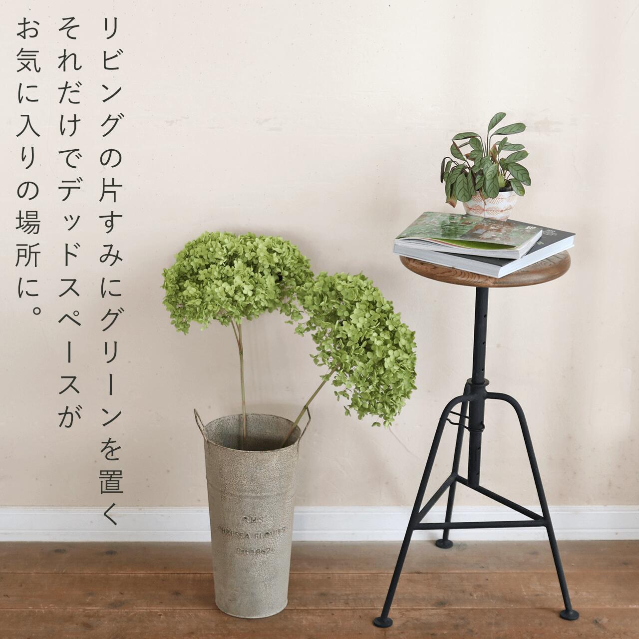 楽天市場】【約直径25～35cm】アナベル枝つき 特大 / アジサイ