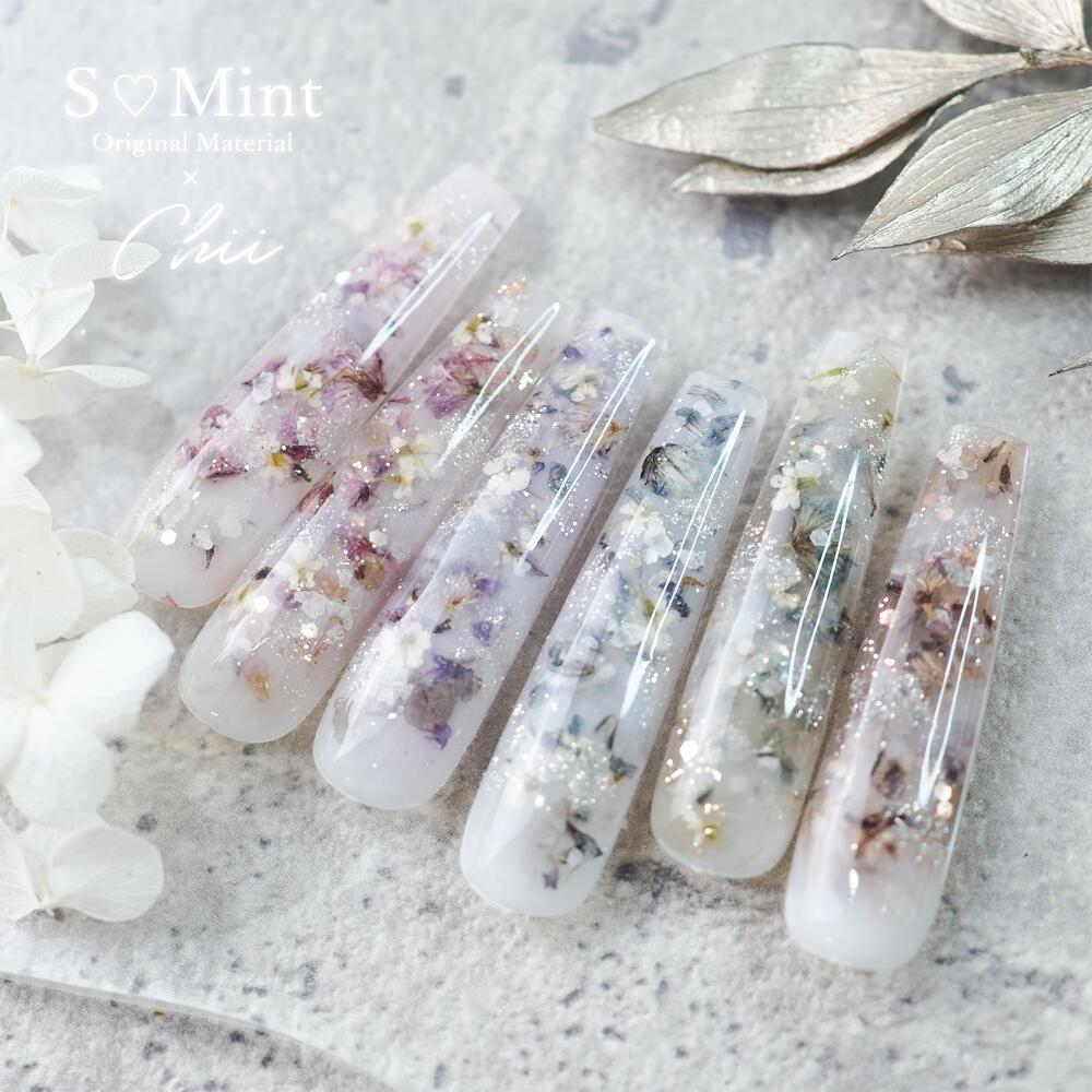 楽天市場】Chii ドライフラワー 押し花【S・Mint×Chii FlowerFlake1
