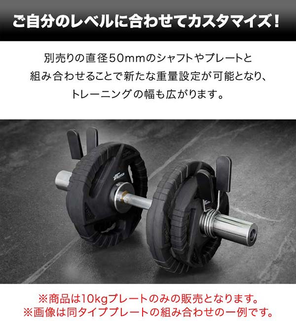 楽天市場】【楽天1位】ダンベルプレート 穴あき 10kg 2枚セット 穴径