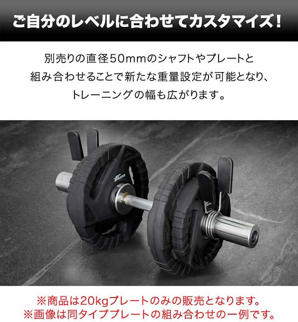 楽天市場】ダンベルプレート 穴あき 20kg 1枚 単品 穴径50mm 追加