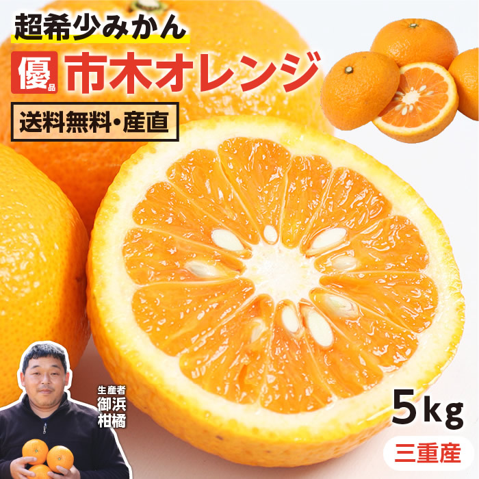 楽天市場】【送料無料】市木オレンジ 三重県産 訳あり 5kg L〜3Lサイズ