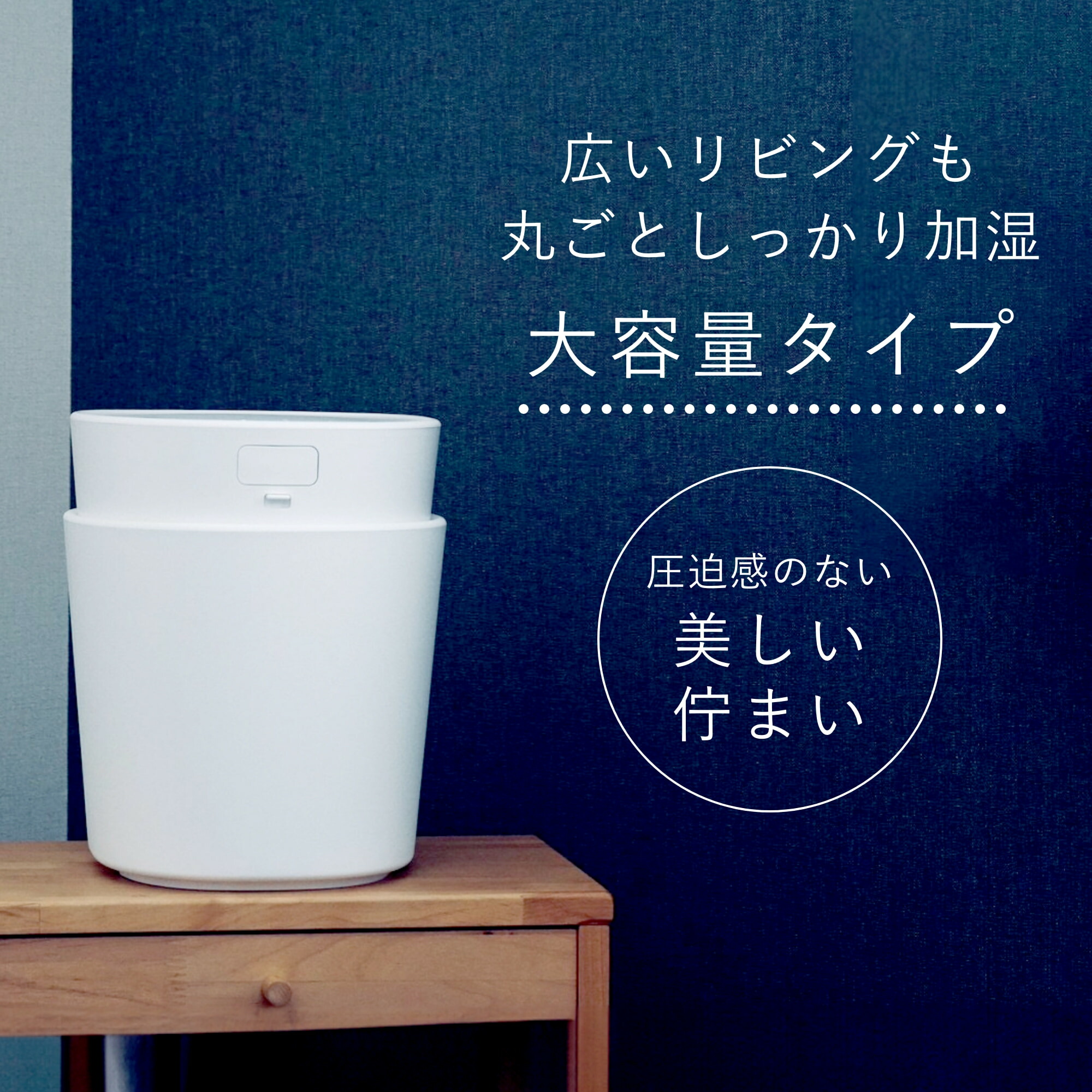 楽天市場】【2つ選べる特典付】プラスマイナスゼロ 加湿器 スチーム式