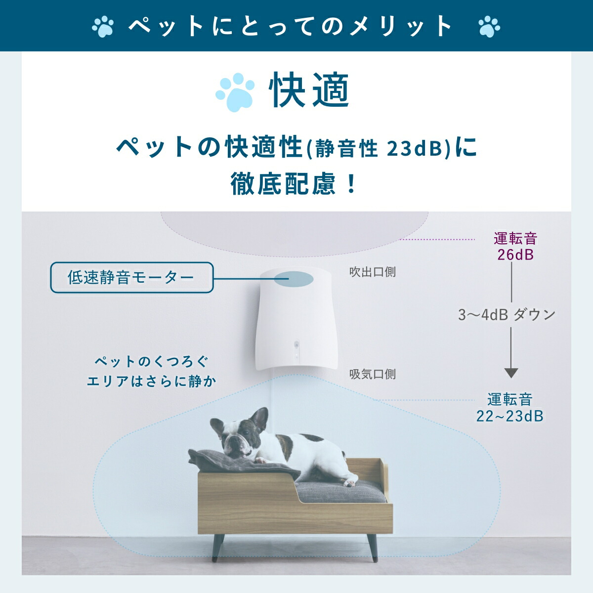 楽天市場】【SUNSTAR QAIS公認販売店】【専用スタンド＋2つ選べる特典