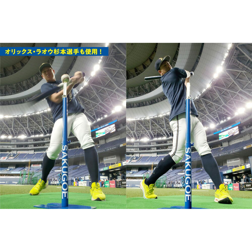楽天市場】サクゴエ(SAKUGOE) 野球 バッティングティー SAKUGOE X VER