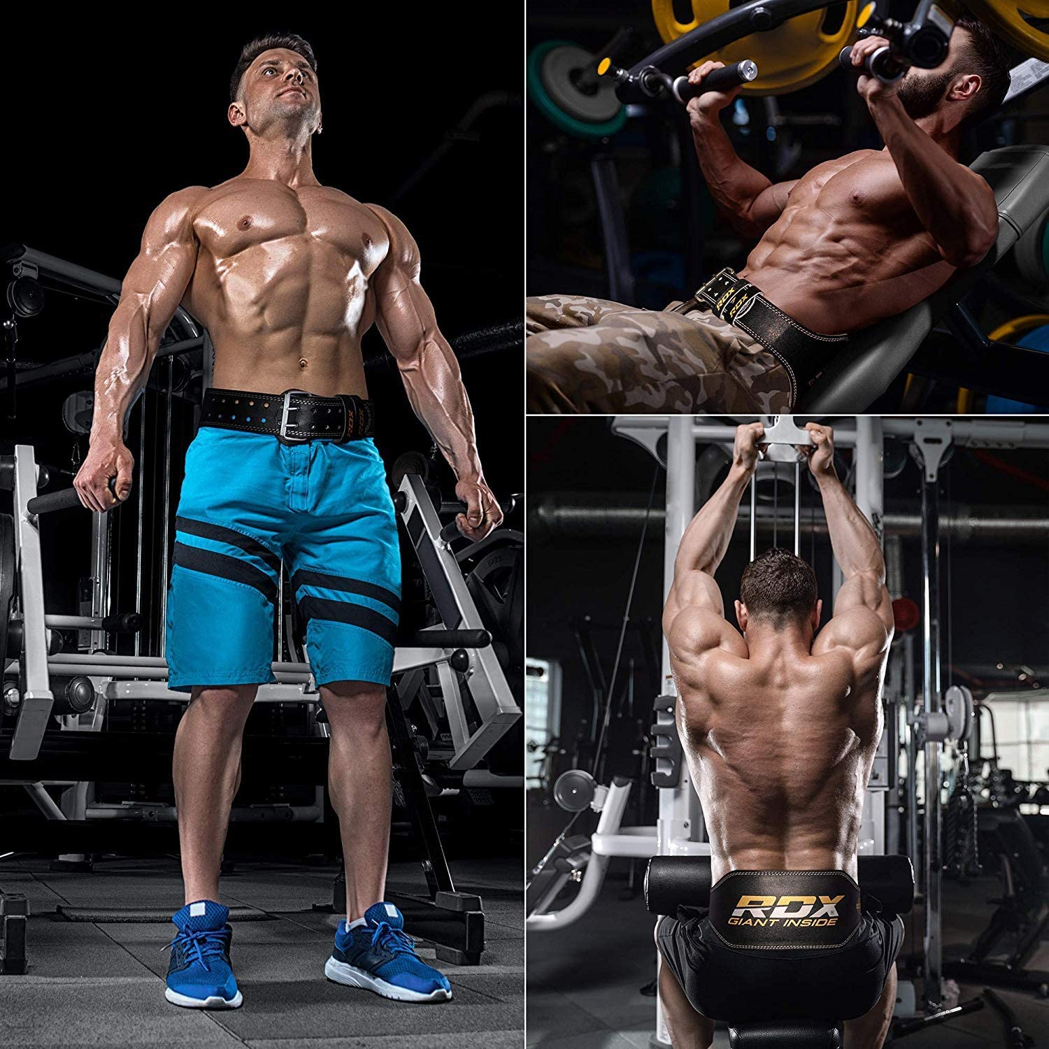 楽天市場】＼P5倍！ スーパーSALE期間中／☆《幅広タイプ》 RDX 公式