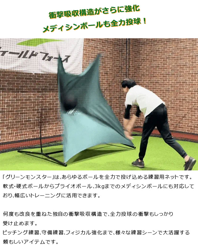楽天市場】ネット グリーンモンスター メディシンボール対応（3kgまで