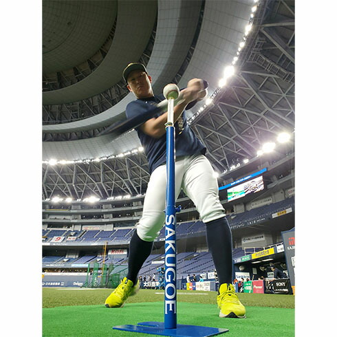 楽天市場】【あす楽対応】【メーカー直送品】ハング (HANG) 硬式野球