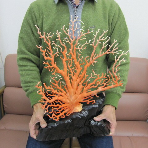 楽天市場】【豪華】桃珊瑚の原木・拝見・置物 黒檀台 置き物 飾り