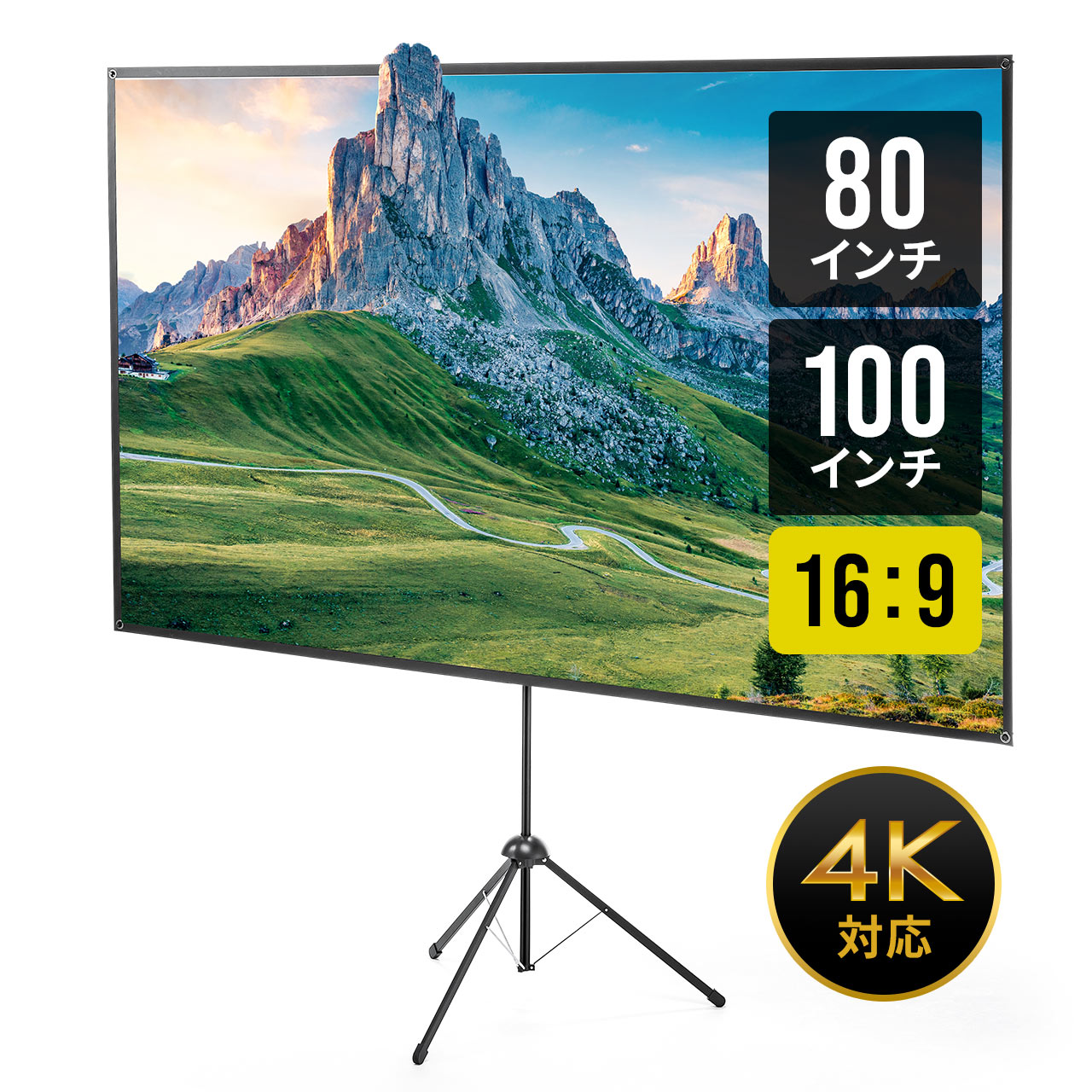 楽天市場】【クーポンで800円OFF！3/11(水) 1:59まで】【楽天1位受賞