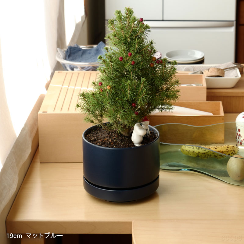 楽天市場】【お一人様1個だけ40%オフクーポン対象】アラビア / SN