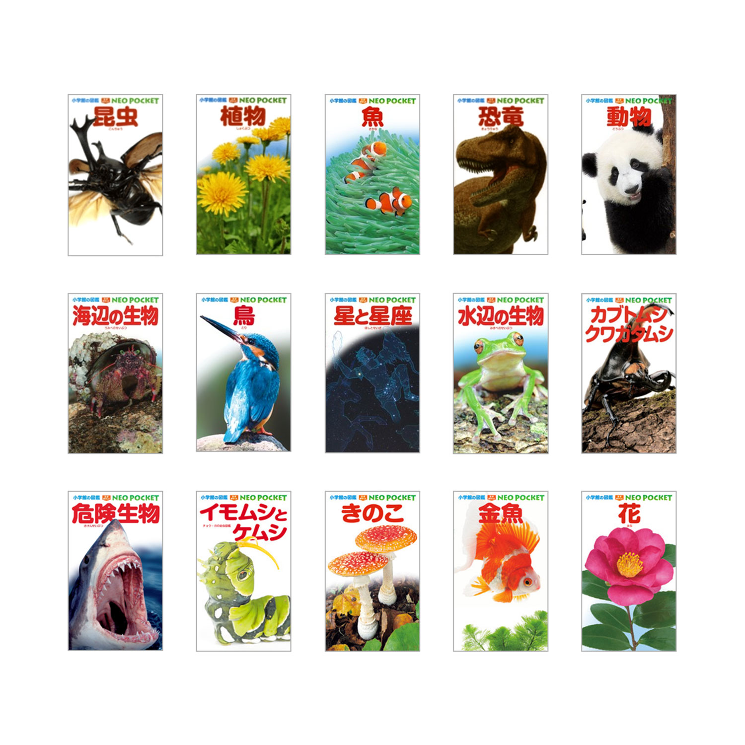 楽天市場】小学館の図鑑 NEO POCKET -ネオぽけっと- 既15巻 '24年度