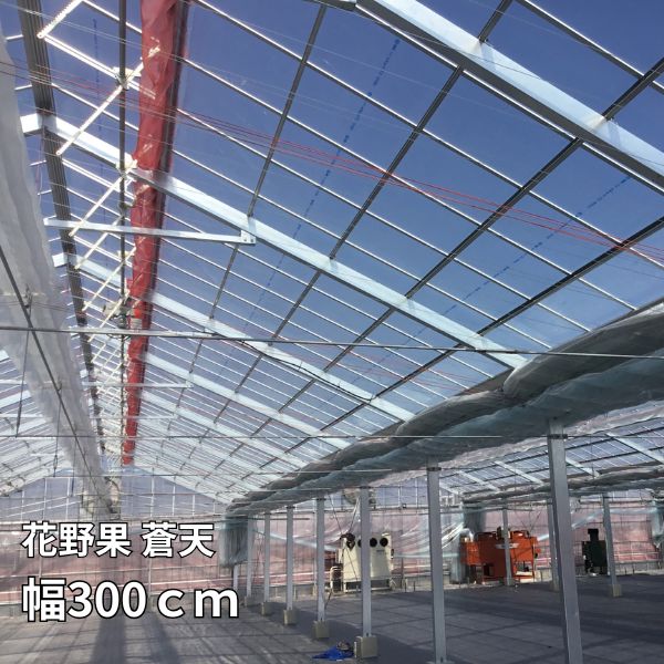 楽天市場】花野果 蒼天 幅300cm 選べる長さ POフィルム 透明 農業用