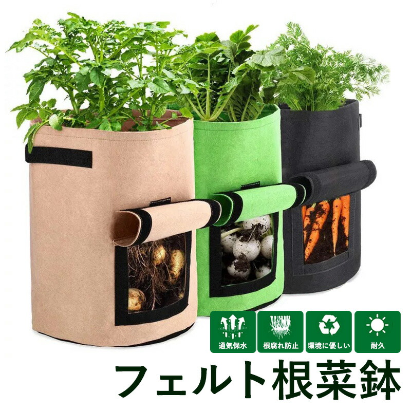 楽天市場】ベランダ菜園 根菜 成長観察 フェルト 鉢 [M] 30×35cm 7