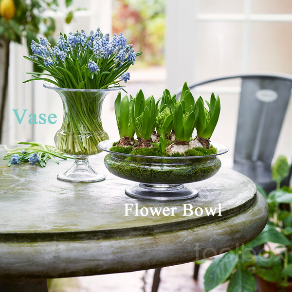 楽天市場】【HOLMEGAARD（ホルムガード）Old English Flower Bowl