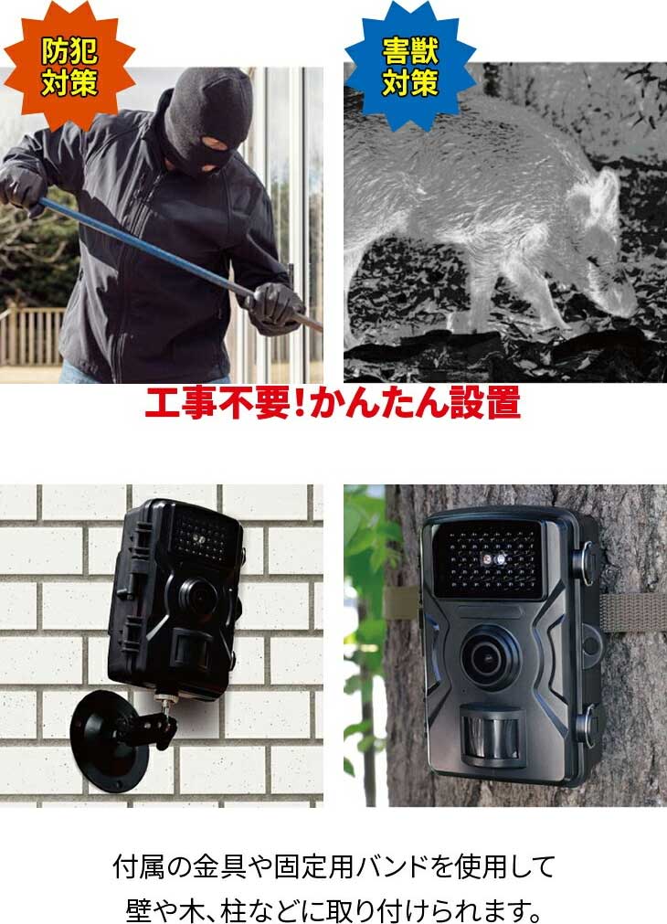 楽天市場】【オマケ付き！】ファミラ 赤外線無人撮影カメラ 「32GB」SD