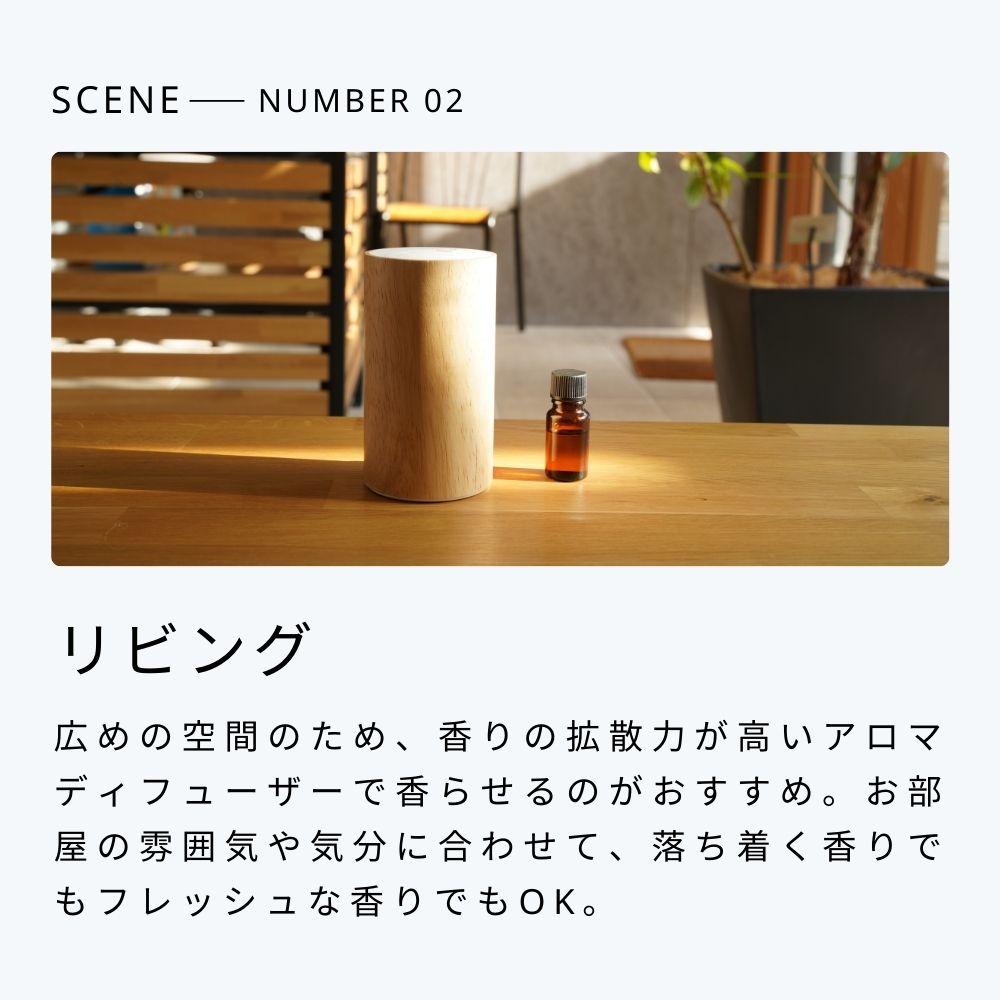 楽天市場】【 生活の木 公式 】☆50%OFFクーポン期間限定配布☆大人気