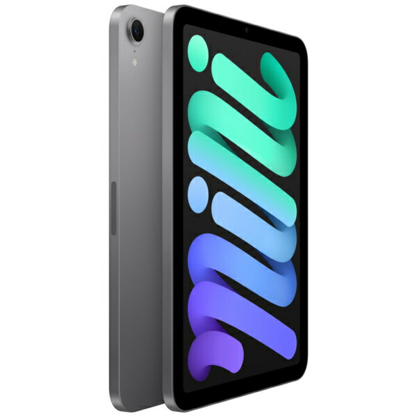 楽天市場】Apple iPad mini A17 Pro チップ MXN63J/A 8.3インチ 128GB
