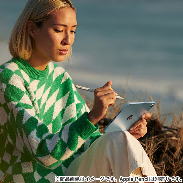 楽天市場】Apple iPad mini A17 Pro チップ MXN83J/A 8.3インチ 128GB