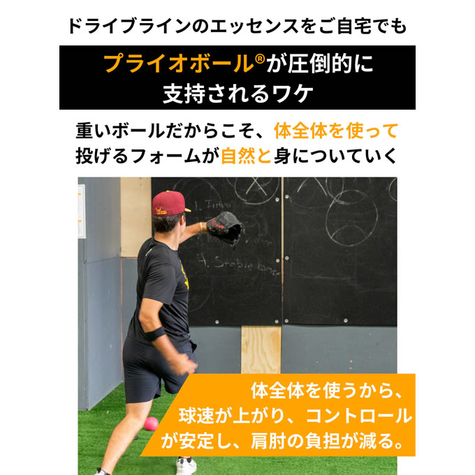 楽天市場】【即日発送可】プライオボール 6個セット ドライブライン