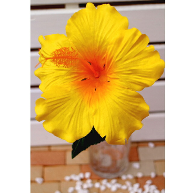 楽天市場】【10%OFF 楽天スーパーSALE 期間限定】【個人様購入可能