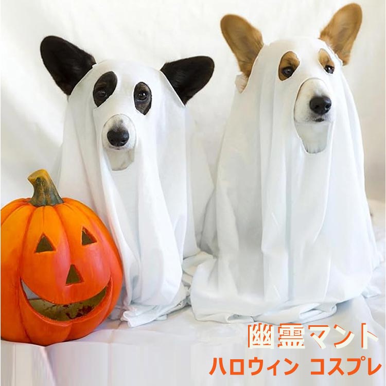 楽天市場】ハロウィン コスプレ 犬 猫 ペット服 幽霊 お化け 鬼服