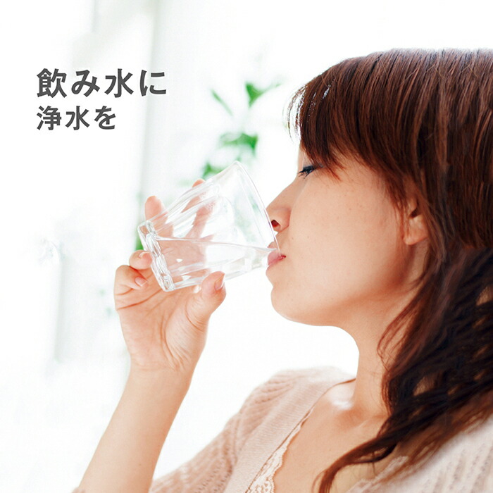 楽天市場】[P15倍！3月4日(水)20時から11日(水)1時59分まで] 浄水器
