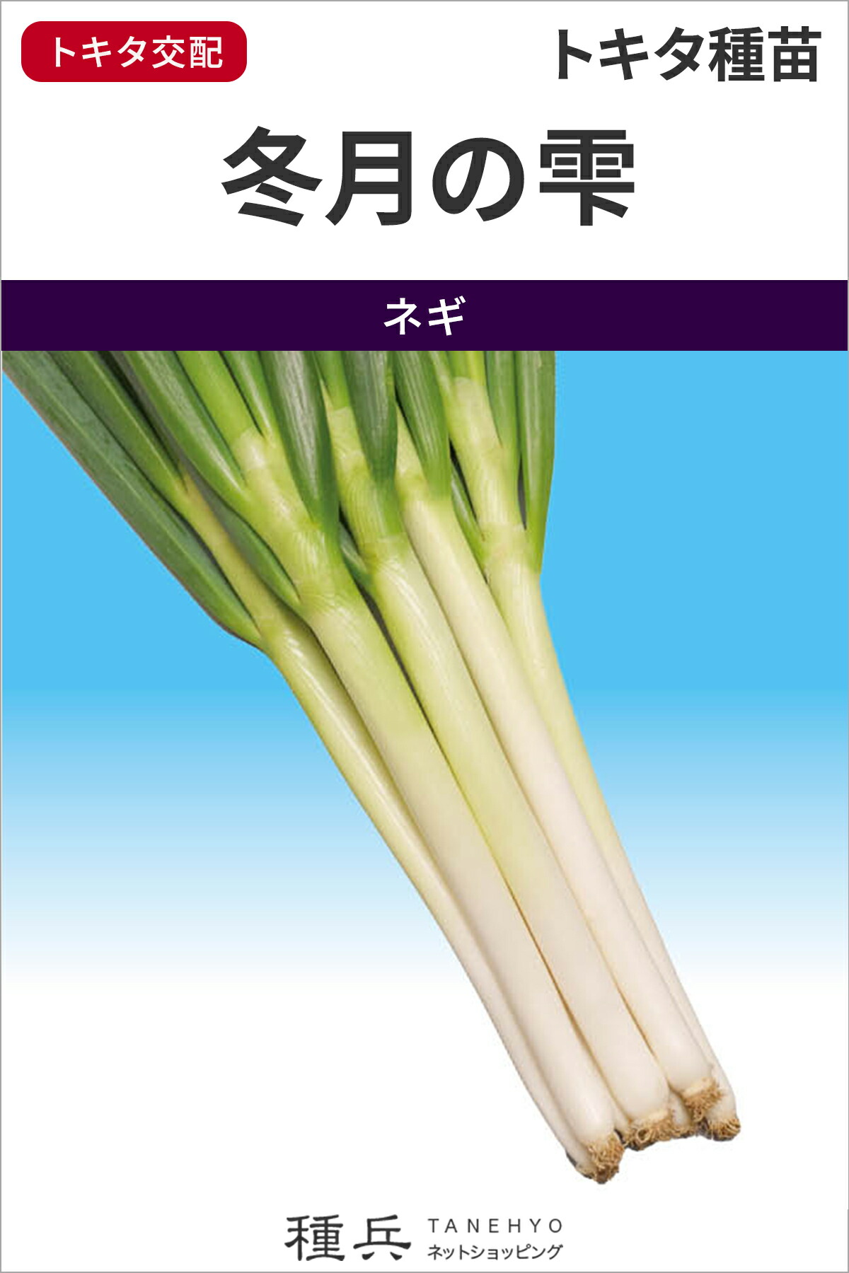 楽天市場】根深ネギ 種 『冬月の雫』 トキタ種苗 : 種兵ネットショッピング