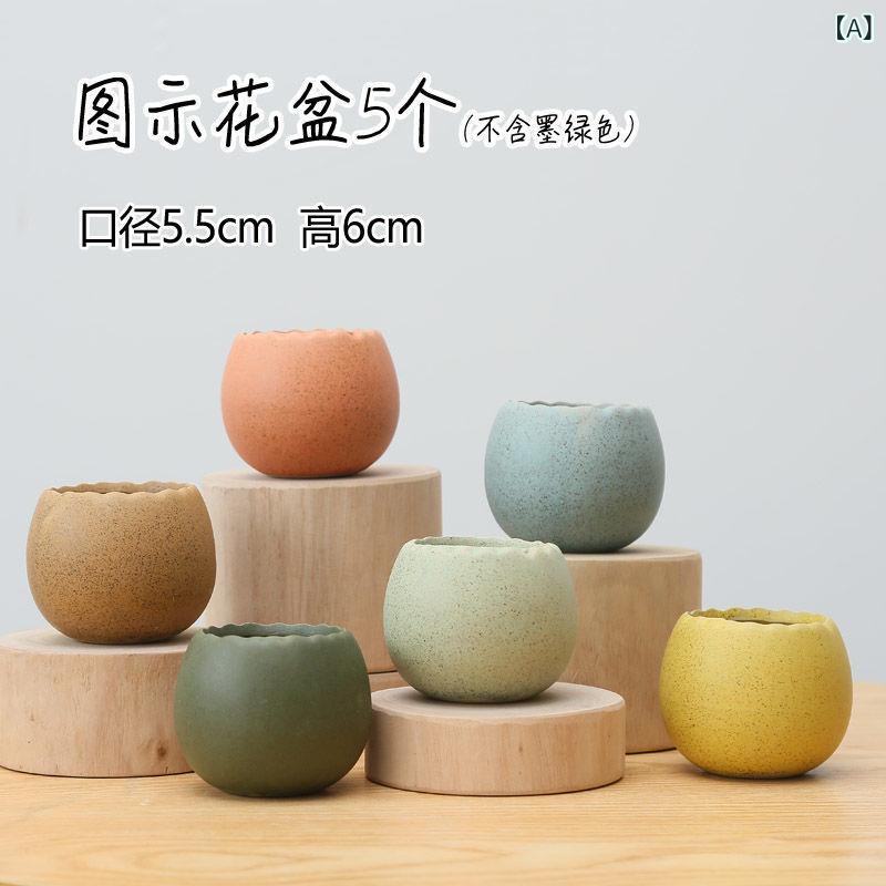 ミニ 盆栽鉢 小さい」の人気商品一覧 | 安い商品を通販サイトから探す