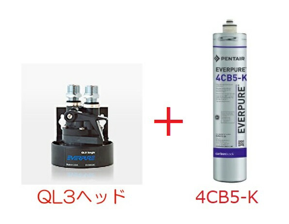 楽天市場】エバーピュア 業務用コンパクト浄水器 コーヒー
