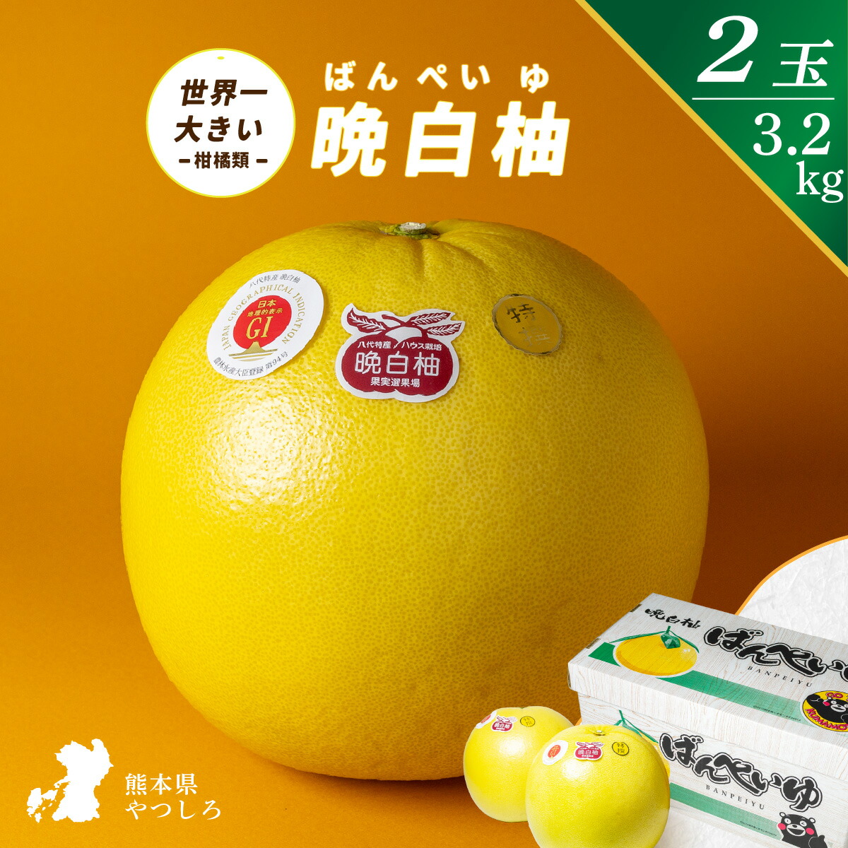 楽天市場】【31％OFF セール中】晩白柚 ばんぺいゆ ザボン ざぼん 熊本