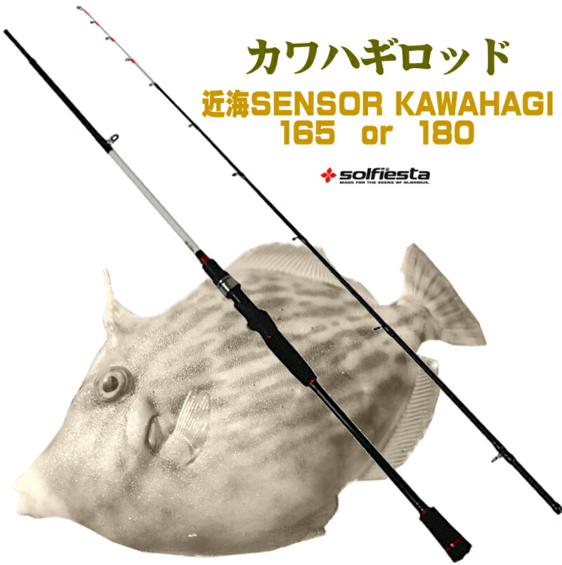 楽天市場】船用 カワハギ竿 180 と 165 からご選択 船からのカワハギ
