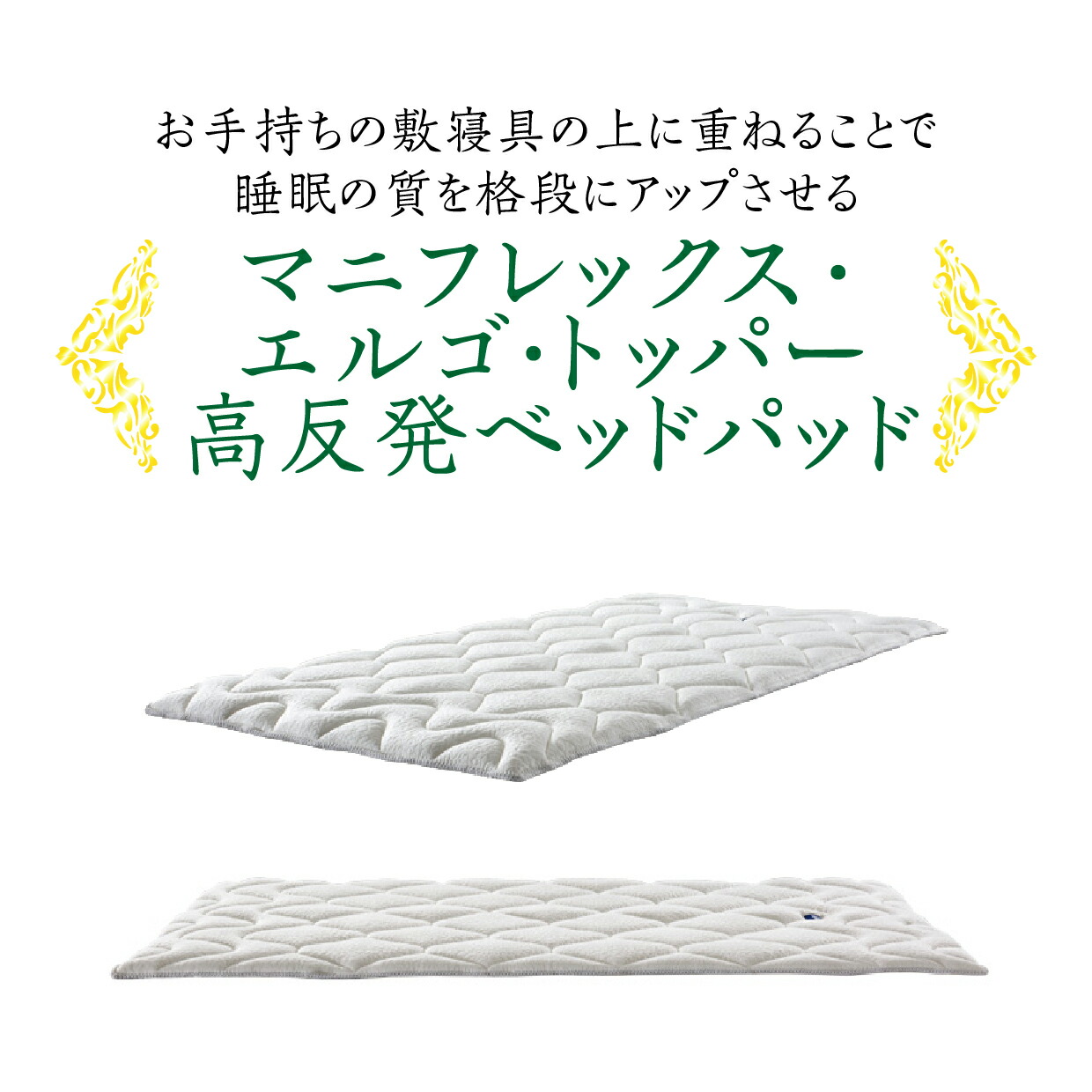楽天市場】【3/4 20時〜ポイント5倍】在庫あり【正規販売店
