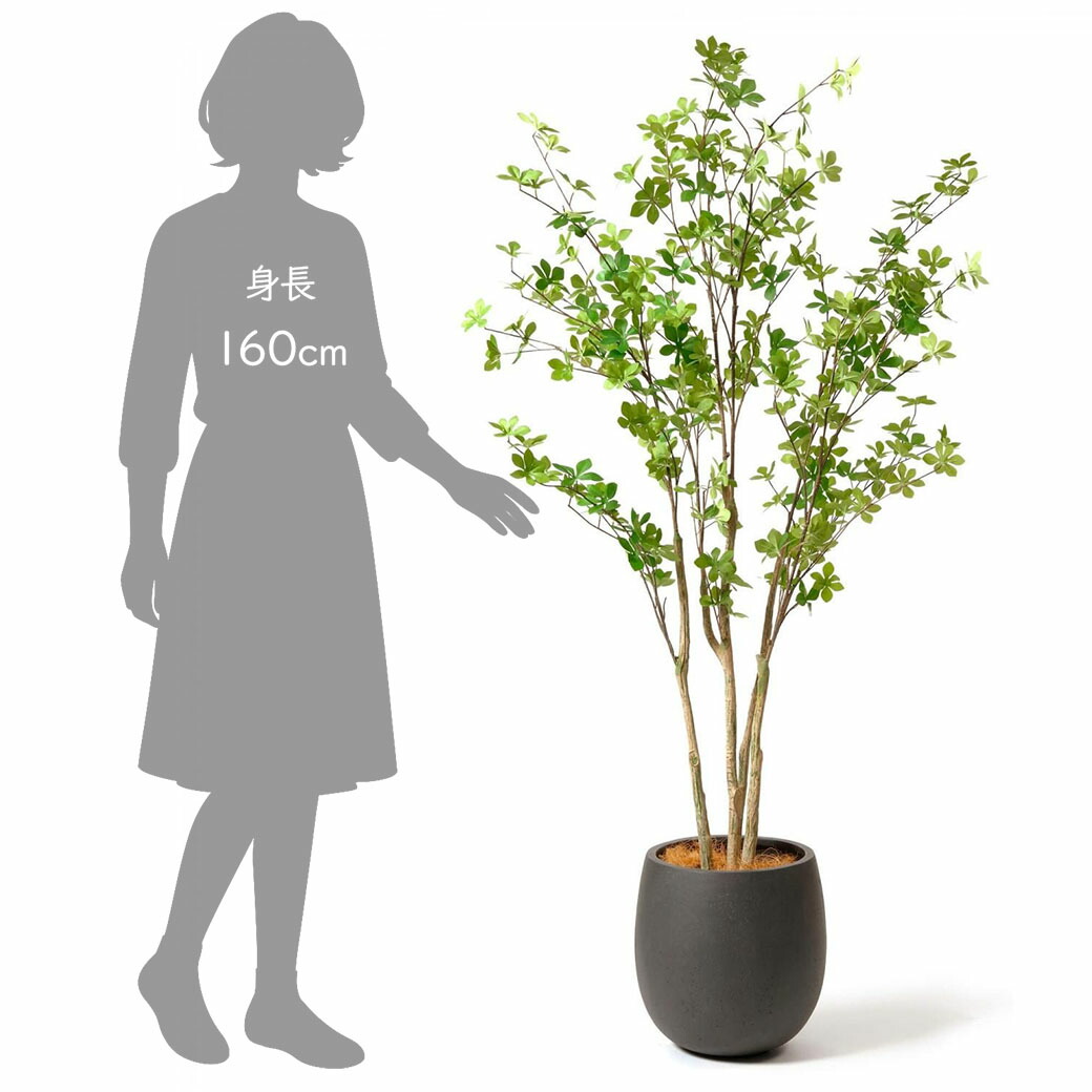 楽天市場】最大100%ポイントバック フェイクグリーン 観葉植物 人工