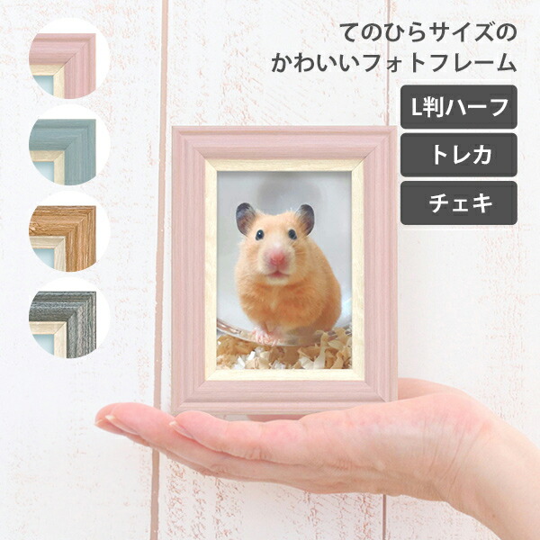 楽天市場】L判ハーフ 64×89mm Vミニフレーム ラフィネ ピンク / ブルー