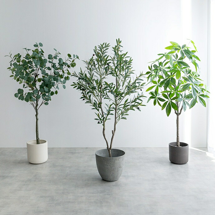 楽天市場】＼クーポン配布中／ パキラ 観葉植物 人工 フェイクグリーン