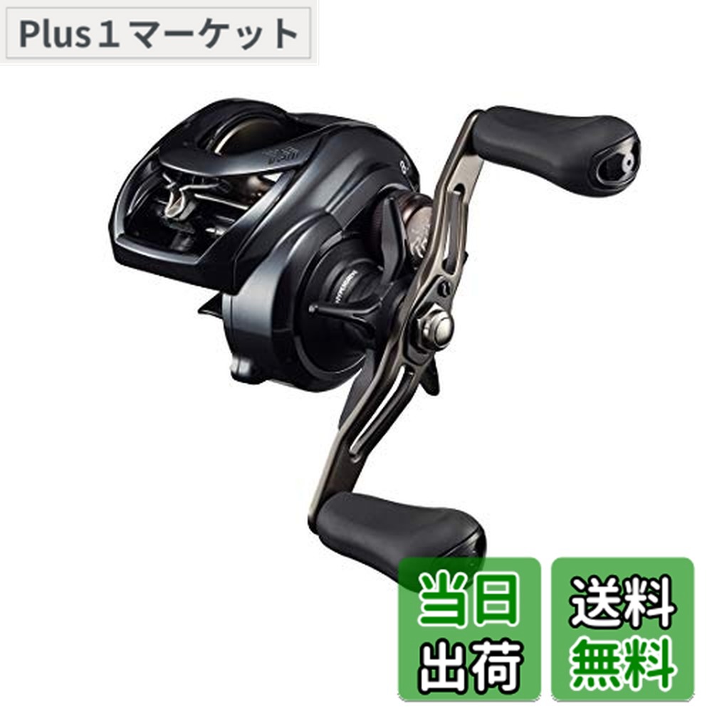 ダイワ タトゥーラ TW 300XHL (リール) 価格比較 - 価格.com
