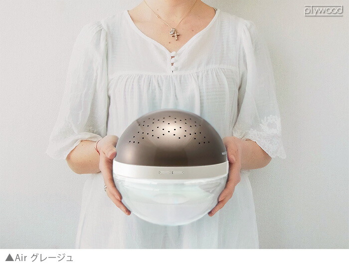 楽天市場】【スーパーセール期間中 最大P52倍】 正規店 空気清浄機