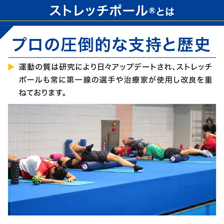 楽天市場】LPN ストレッチポールEX(ピンク)スタートBOOK、エクササイズ