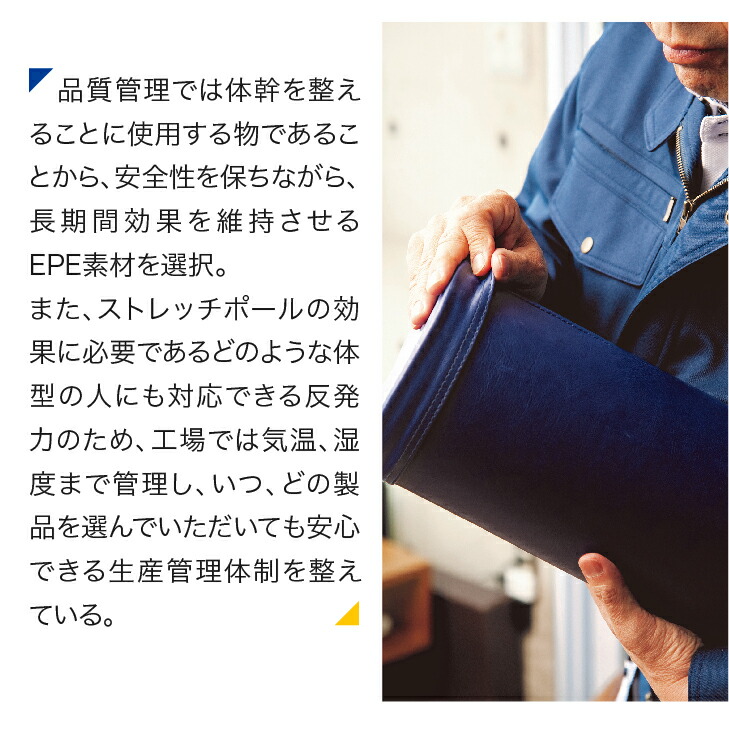 楽天市場】LPN ストレッチポールEX(イエロー)スタートBOOK