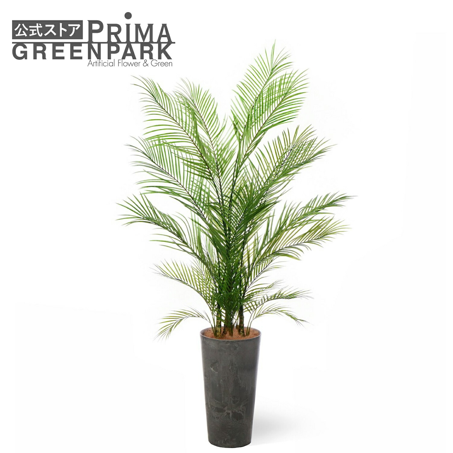 楽天市場】【公式】アレカヤシ ラウンドポット H172cm 観葉植物