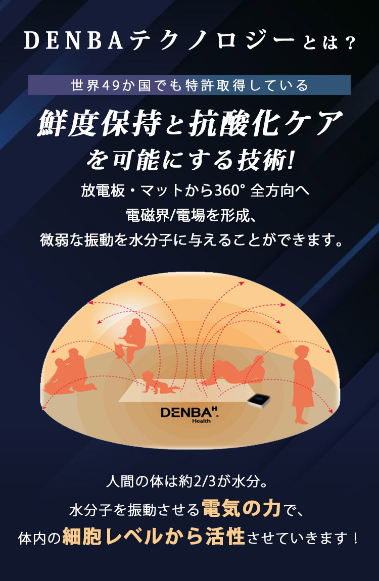 楽天市場】DENBA Health Sleep 【正規店】（デンバスリープ デンバ 枕